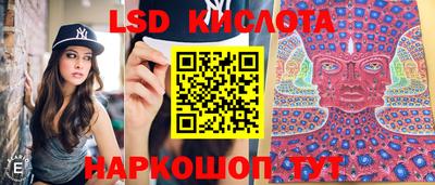 гашик Кандалакша