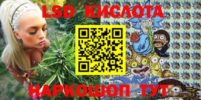 гашик Кандалакша