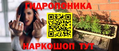 прущие крисы Канаш