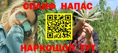 гашик Кандалакша